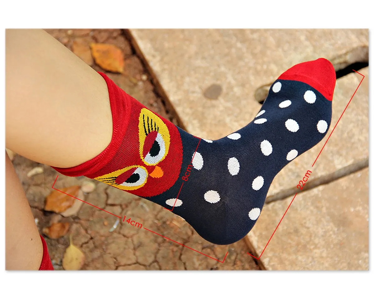 5 Pairs Creative Cute Animal Owl Cartoon Socks