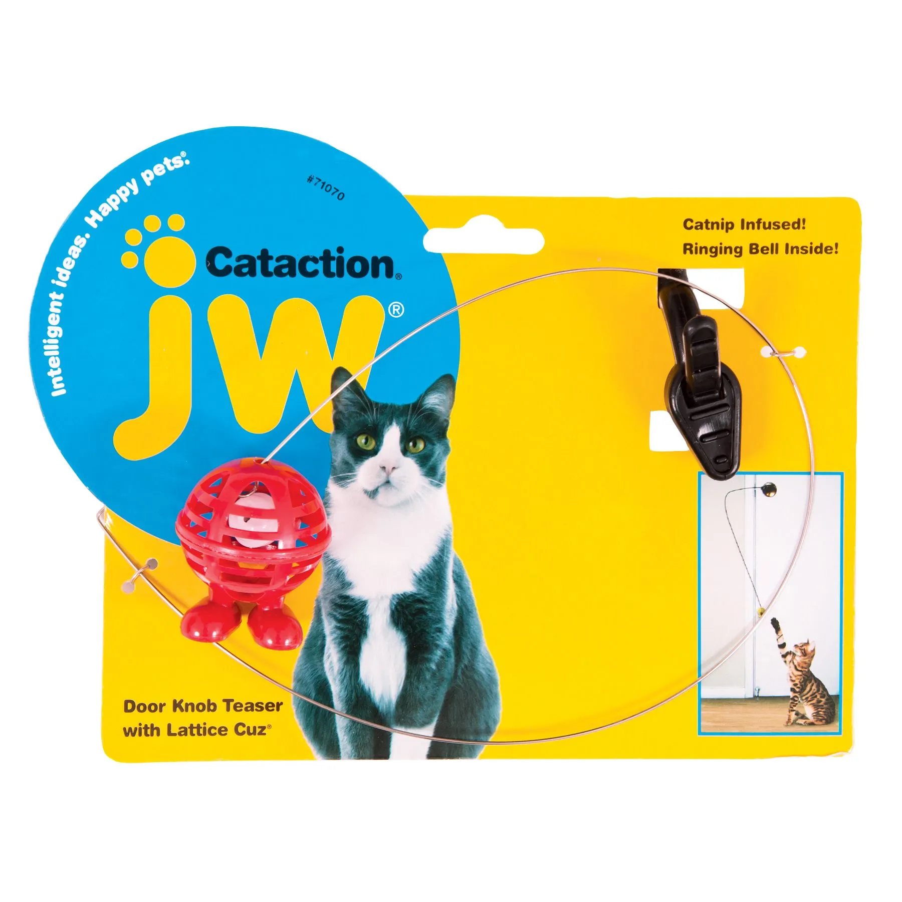 JW Cataction Doorknob Teaser With Cuz