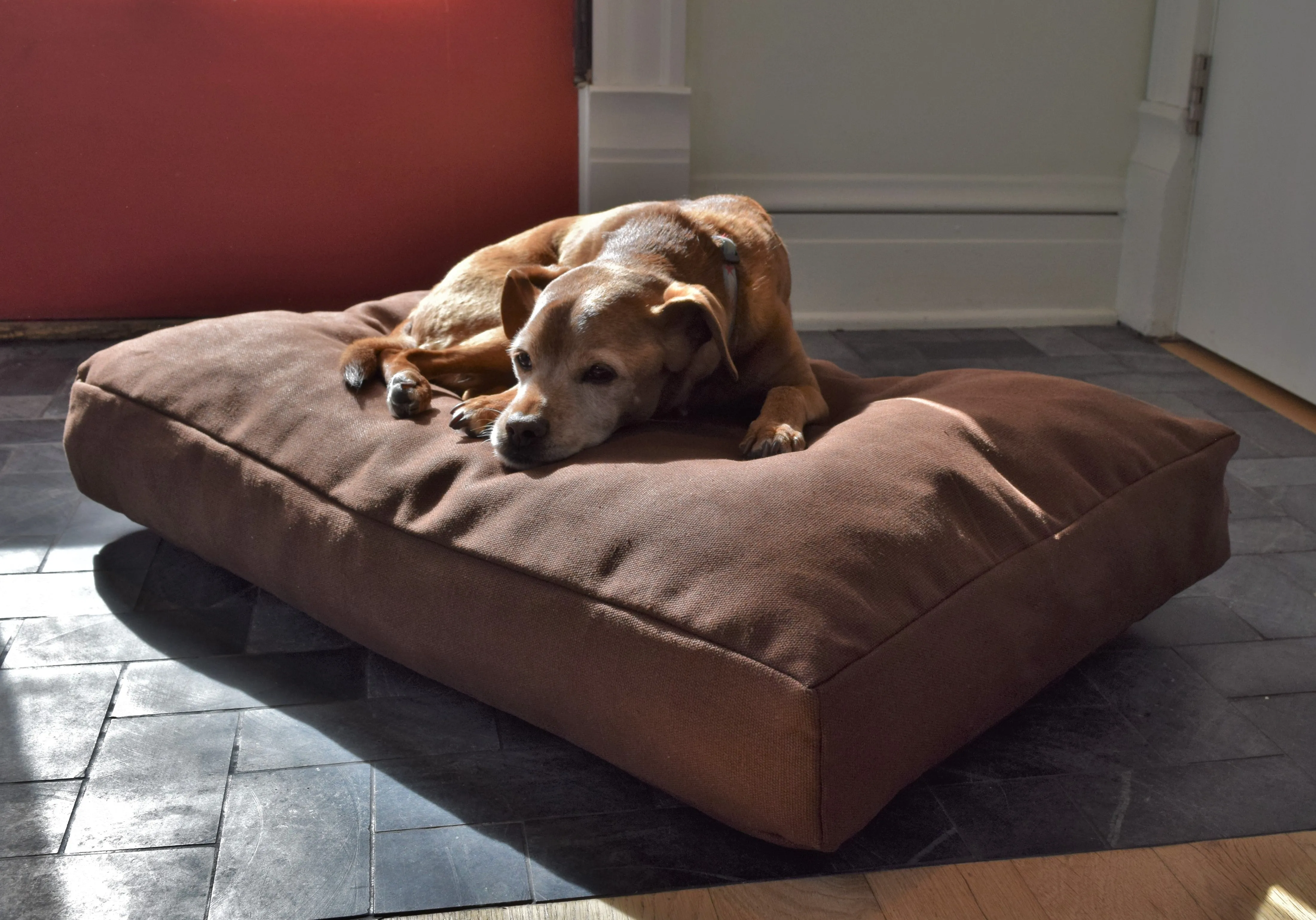 Premium Hemp Dog Bed - Organic Latex Foam Fill